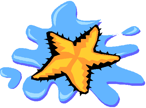 estrella de mar. Stella marina-Estrella de mar