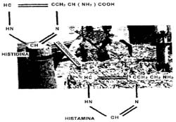 Estructura qumica de la histamina